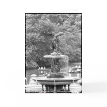 Angel in Central Park cards