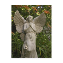 Angel Jayn Postcard
