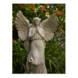 Angel Jayn Postcard