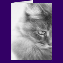 "Angel Kitty" Portrait cards by RLMdesignes "Angel Kitty" Portrait cards