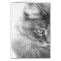 "Angel Kitty" Portrait cards by RLMdesignes "Angel Kitty" Portrait cards