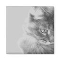 "Angel Kitty" Portrait magnets