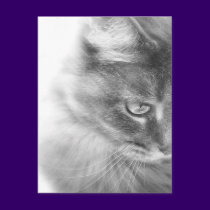 "Angel Kitty" Portrait postcards