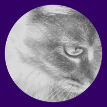 "Angel Kitty" Portrait stickers by RLMdesignes "Angel Kitty" Portrait stickers