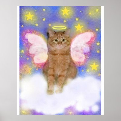 Angel Kitty