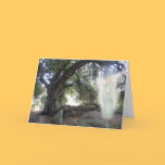 Angel Light cards