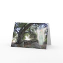 Angel Light cards by harmonyart Angel Light cards