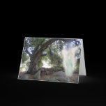 Angel Light cards