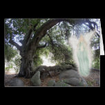 Angel Light cards