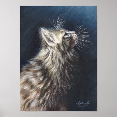 Angel Light Maine Coon Cat Art poster by artbyakiko