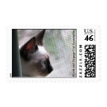 Angel looking out. postage stamps