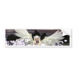 Angel My Guardian