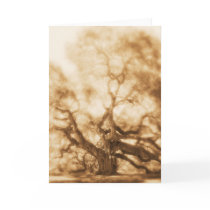 "Angel Oak 1" - MW1106 cards