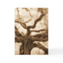 "Angel Oak 2" - MW1107 cards by Ambient_Image "Angel Oak 2" - MW1107 cards