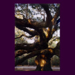 Angel Oak Canvas Print