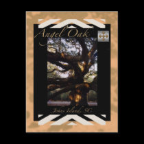 Angel Oak Postcard by MarciaCox Angel Oak Postcard
