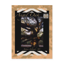 Angel Oak Postcard by MarciaCox Angel Oak Postcard