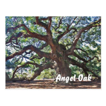 Angel Oak Postcard