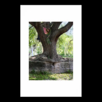Angel Oak posters