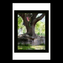 Angel Oak posters