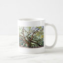 Angel Oak Tree Gifts Classic White Coffee Mug