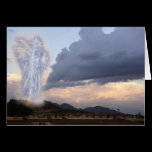 Angel of Light Renewed! cards