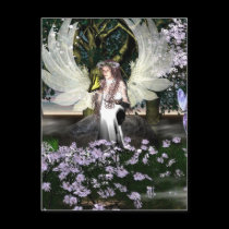 Angel of Thankfulness postcards