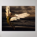 Angel of the Golden Sunset posters