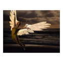 Angel of the Golden Sunset posters