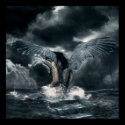angel