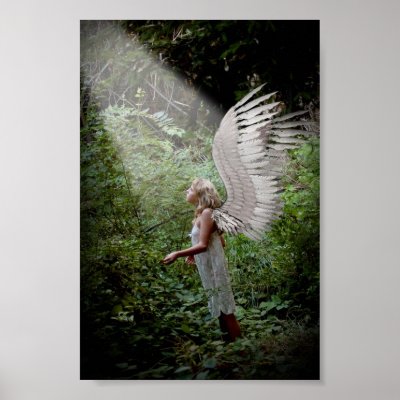 Angel Poster by BeautyShots