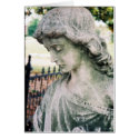 Angel Profile cards