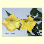 Angel Quote Card cards