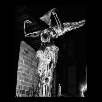 Angel (Sabattier) - Fine Art Print posters