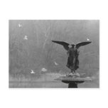 Angel Sculpture in Pond Postcards