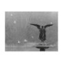 Angel Sculpture in Pond Postcards