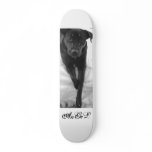AnGeL Skate Board Deck