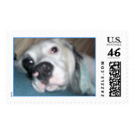 Angel Stamps