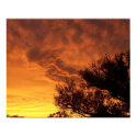 Angel Sunset posters