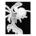 Angel Tree posters