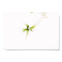 Angel Trumpet Flower posters by lisafuller Angel Trumpet Flower posters