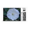 Angel trumpet( Moon flower) postage by ladyfirebird93 Angel trumpet( Moon flower) postage