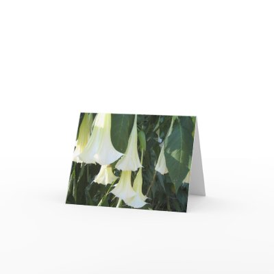 Angel Trumpets Notecard by ohmeakanancy