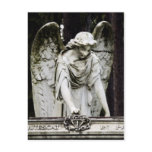 Angel Visit Postcard