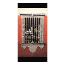 Angel Window San Miguel de Allende Mexico Personalized Photo Card