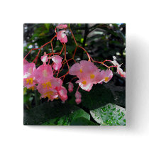 Angel Wing Begonias Pinback Button