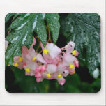 Angel-Wing Begonias mousepads