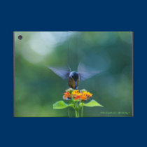 Angel Wings Humming powis icase
