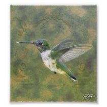 Angel Wings Series Photographic Print