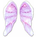 *Angel Wings* Top t-shirts
